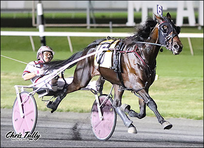 Harness Racing - USTA Stallion Registry - United States Trotting ...