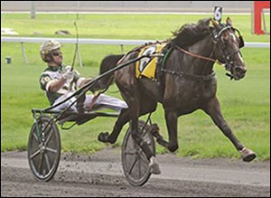 Harness Racing - USTA Stallion Registry - United States Trotting ...